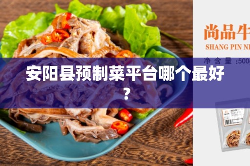 安阳县预制菜平台哪个最好？