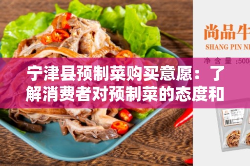 宁津县预制菜购买意愿：了解消费者对预制菜的态度和偏好