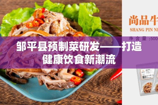 邹平县预制菜研发——打造健康饮食新潮流
