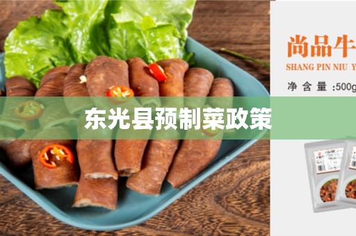东光县预制菜政策