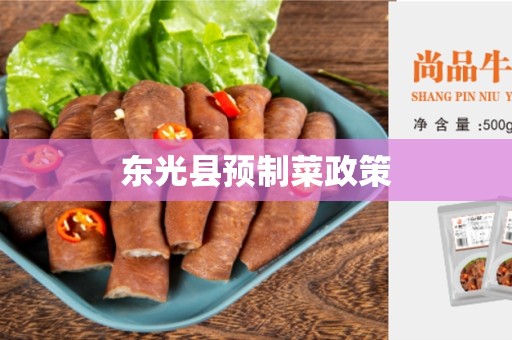 东光县预制菜政策