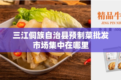 三江侗族自治县预制菜批发市场集中在哪里