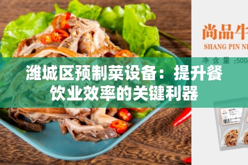 潍城区预制菜设备：提升餐饮业效率的关键利器