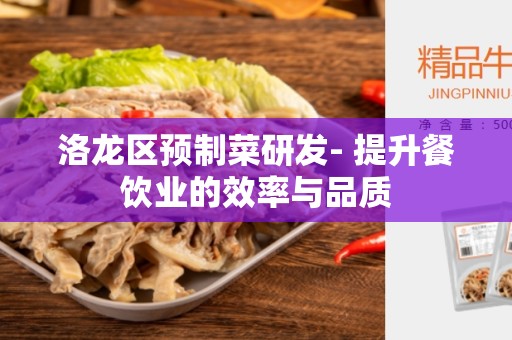 洛龙区预制菜研发- 提升餐饮业的效率与品质