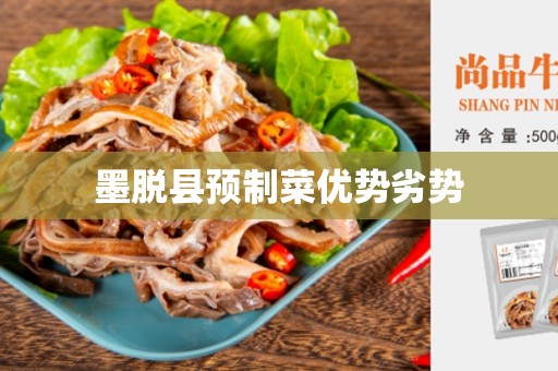 墨脱县预制菜优势劣势