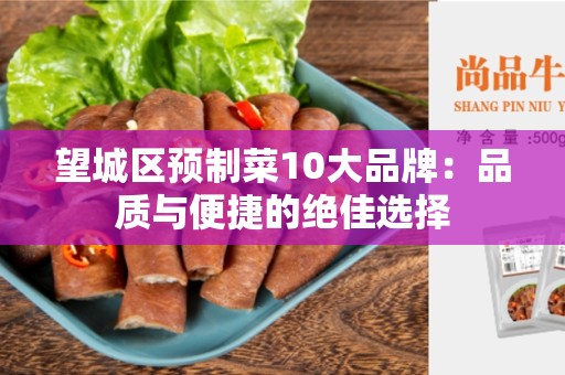 望城区预制菜10大品牌：品质与便捷的绝佳选择