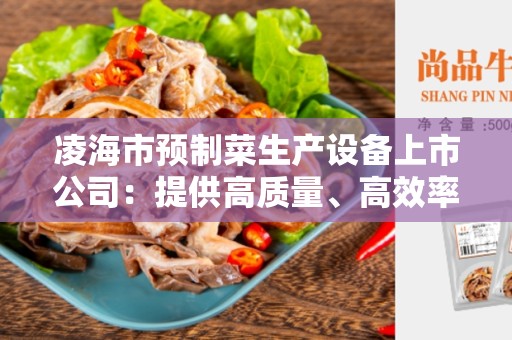 凌海市预制菜生产设备上市公司：提供高质量、高效率的解决方案