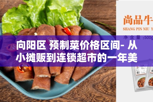 向阳区 预制菜价格区间- 从小摊贩到连锁超市的一年美食之旅