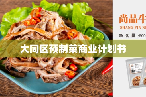 大同区预制菜商业计划书