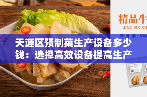 天涯区预制菜生产设备多少钱：选择高效设备提高生产效率