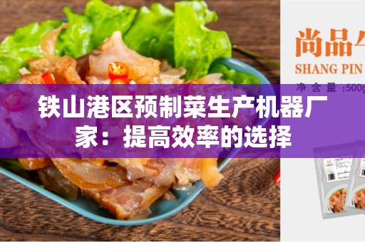 铁山港区预制菜生产机器厂家：提高效率的选择