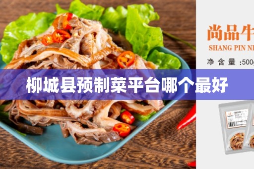 柳城县预制菜平台哪个最好