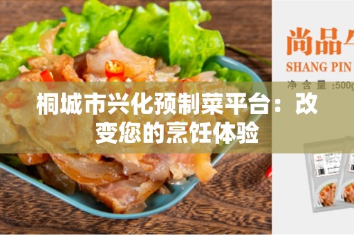 桐城市兴化预制菜平台：改变您的烹饪体验