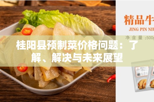 桂阳县预制菜价格问题：了解、解决与未来展望