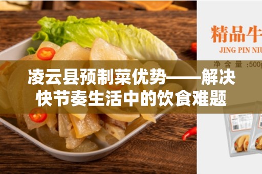 凌云县预制菜优势——解决快节奏生活中的饮食难题