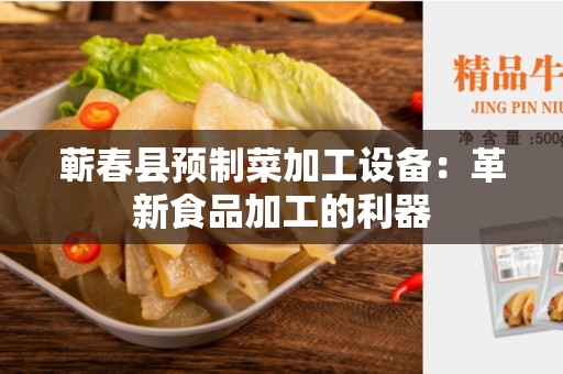 蕲春县预制菜加工设备：革新食品加工的利器