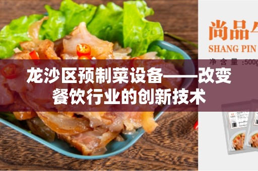 龙沙区预制菜设备——改变餐饮行业的创新技术