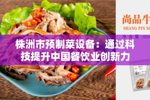 株洲市预制菜设备：通过科技提升中国餐饮业创新力