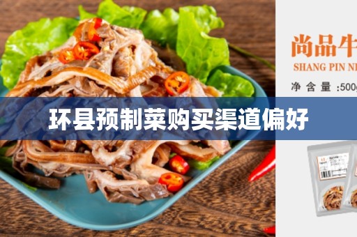 环县预制菜购买渠道偏好