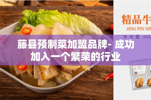 藤县预制菜加盟品牌- 成功加入一个繁荣的行业