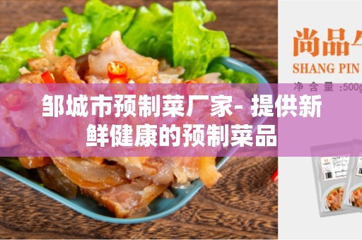 邹城市预制菜厂家- 提供新鲜健康的预制菜品