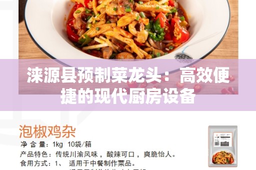 涞源县预制菜龙头：高效便捷的现代厨房设备