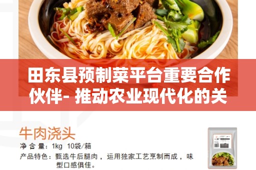 田东县预制菜平台重要合作伙伴- 推动农业现代化的关键力量