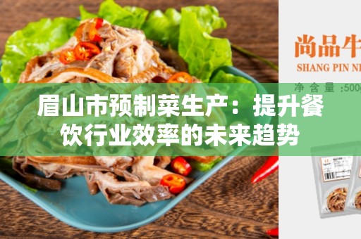 眉山市预制菜生产：提升餐饮行业效率的未来趋势