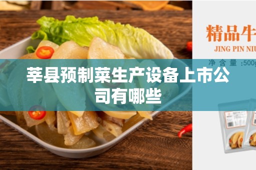 莘县预制菜生产设备上市公司有哪些