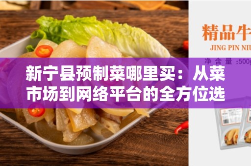 新宁县预制菜哪里买：从菜市场到网络平台的全方位选择