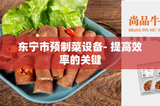 东宁市预制菜设备- 提高效率的关键