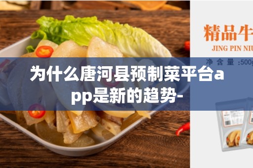 为什么唐河县预制菜平台app是新的趋势-
