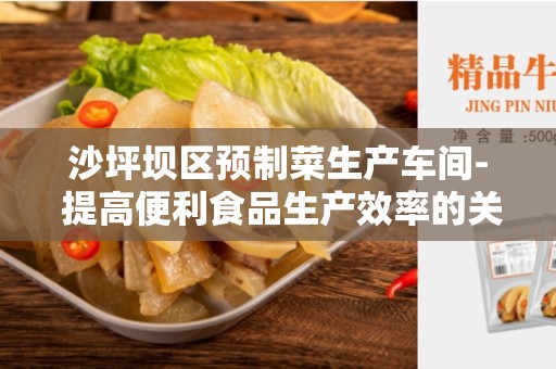 沙坪坝区预制菜生产车间- 提高便利食品生产效率的关键
