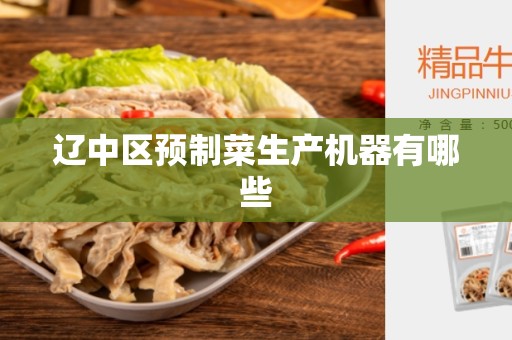 辽中区预制菜生产机器有哪些