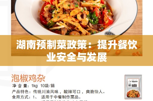 湖南预制菜政策：提升餐饮业安全与发展