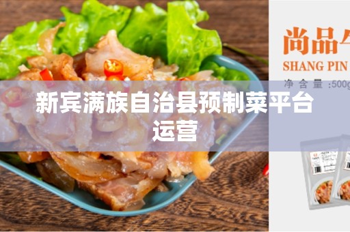新宾满族自治县预制菜平台运营