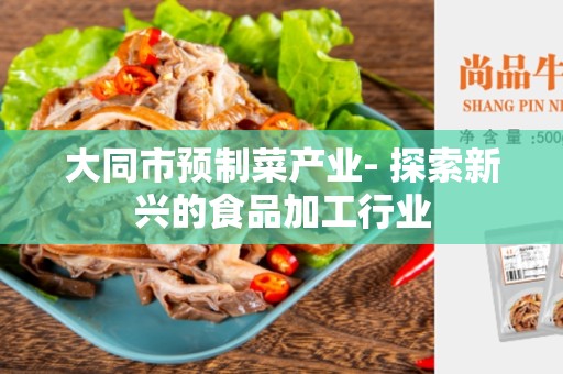 大同市预制菜产业- 探索新兴的食品加工行业