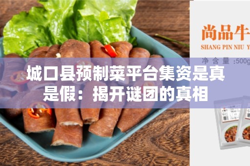 城口县预制菜平台集资是真是假：揭开谜团的真相