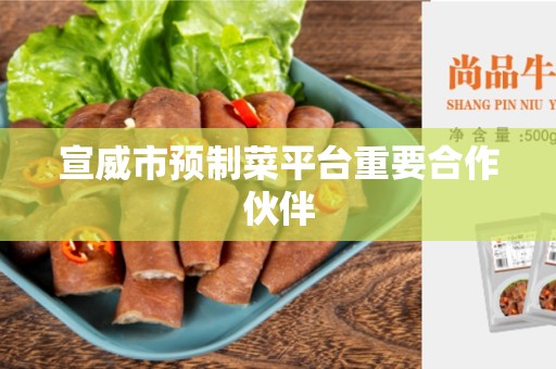 宣威市预制菜平台重要合作伙伴