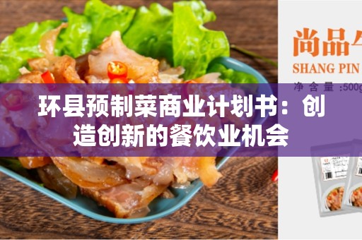 环县预制菜商业计划书：创造创新的餐饮业机会