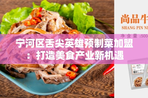 宁河区舌尖英雄预制菜加盟：打造美食产业新机遇