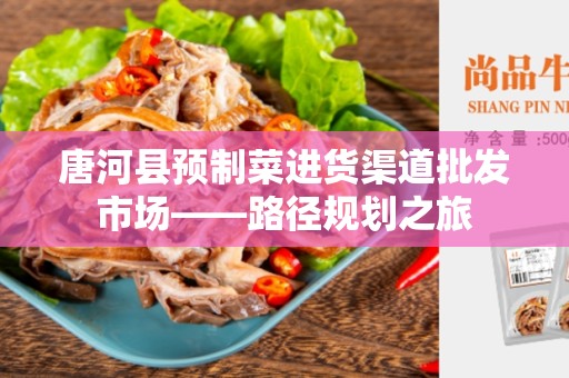 唐河县预制菜进货渠道批发市场——路径规划之旅