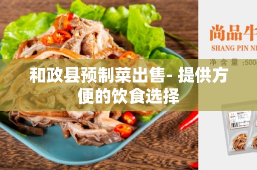 和政县预制菜出售- 提供方便的饮食选择