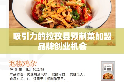 吸引力的拉孜县预制菜加盟品牌创业机会