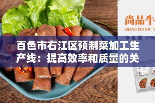 百色市右江区预制菜加工生产线：提高效率和质量的关键要素