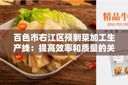 百色市右江区预制菜加工生产线：提高效率和质量的关键要素