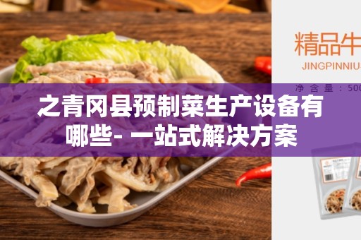 之青冈县预制菜生产设备有哪些- 一站式解决方案