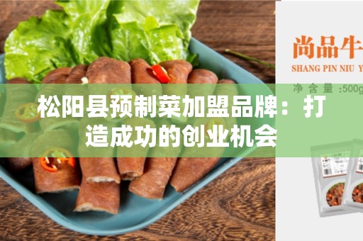 松阳县预制菜加盟品牌：打造成功的创业机会