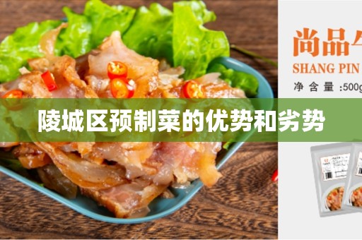 陵城区预制菜的优势和劣势