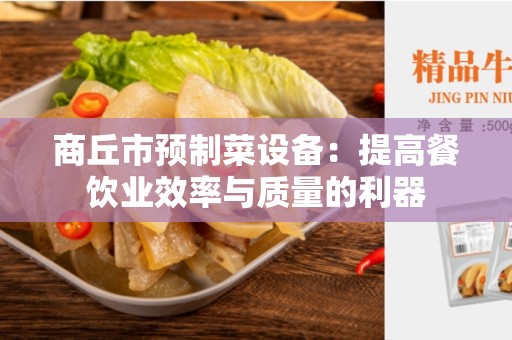 商丘市预制菜设备：提高餐饮业效率与质量的利器
